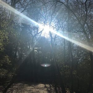 Meet your Posher, Lilita